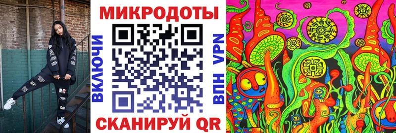 кракен ONION  дарнет шоп  Грайворон  Псилоцибиновые грибы Psilocybe 
