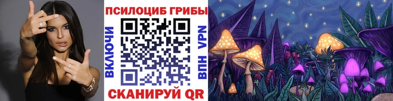 Галлюциногенные грибы прущие грибы Грайворон